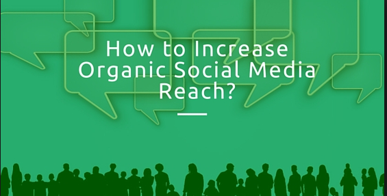 How to Improve your Reach on Top Social Media Networks Organically in 2021?