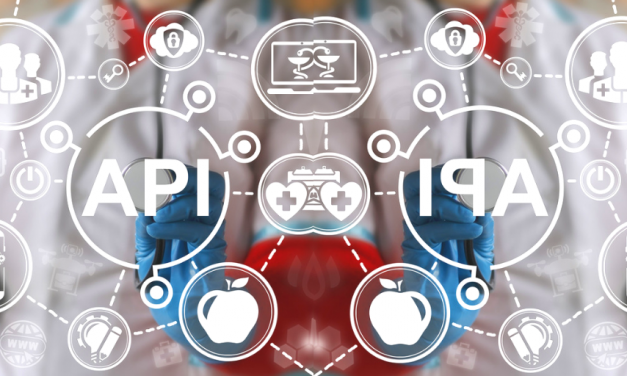 Application Programming Interface: The Evergreen Integrated Element For The E-commerce World [2021 Guide]